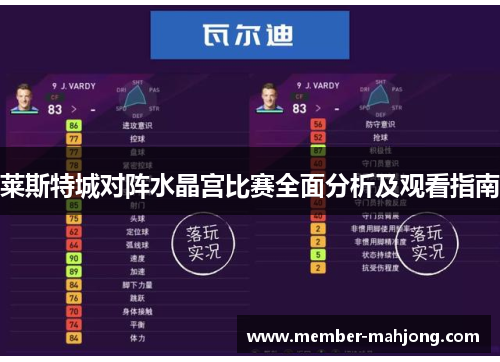 莱斯特城对阵水晶宫比赛全面分析及观看指南