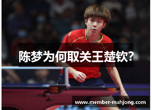 陈梦为何取关王楚钦? 陈梦为何取关王楚钦?
